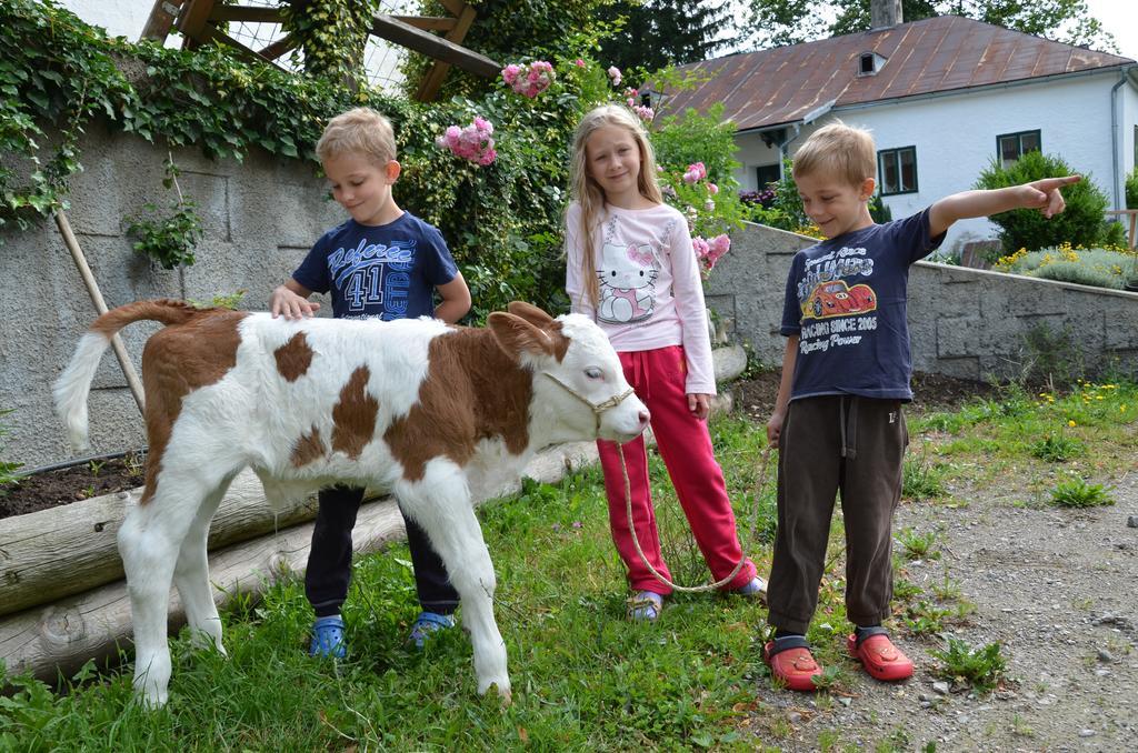 Ferienwohnung Vonwald Michelbach Dış mekan fotoğraf