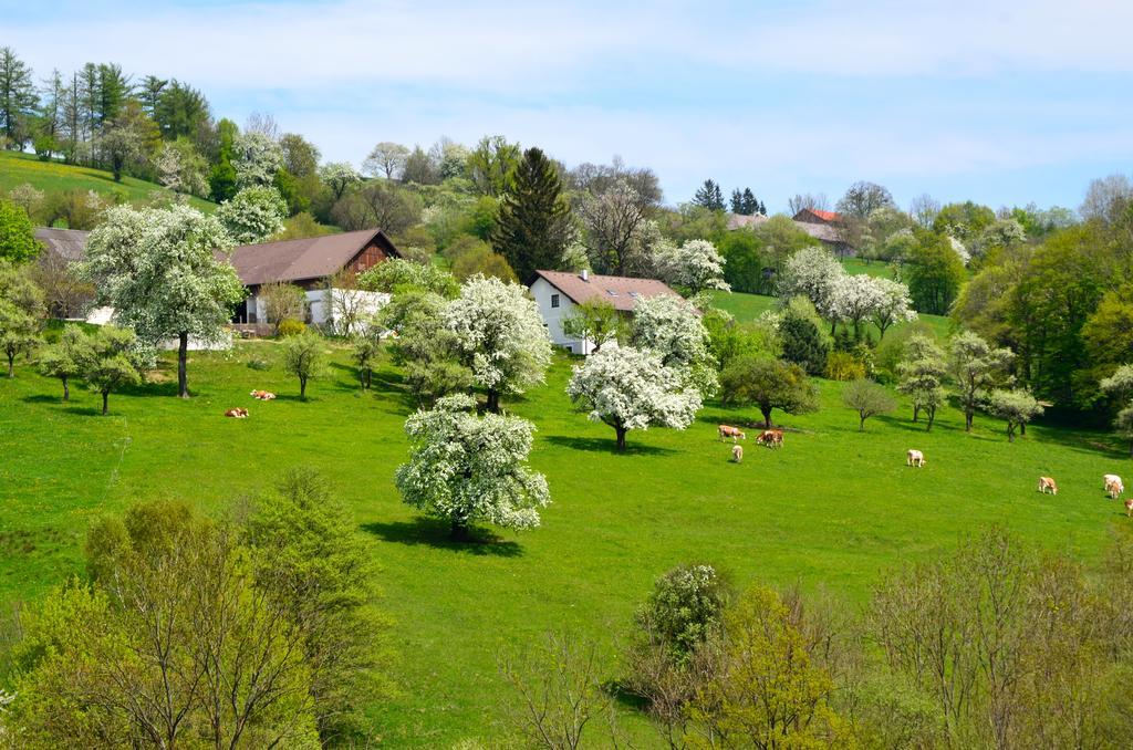 Ferienwohnung Vonwald Michelbach Dış mekan fotoğraf