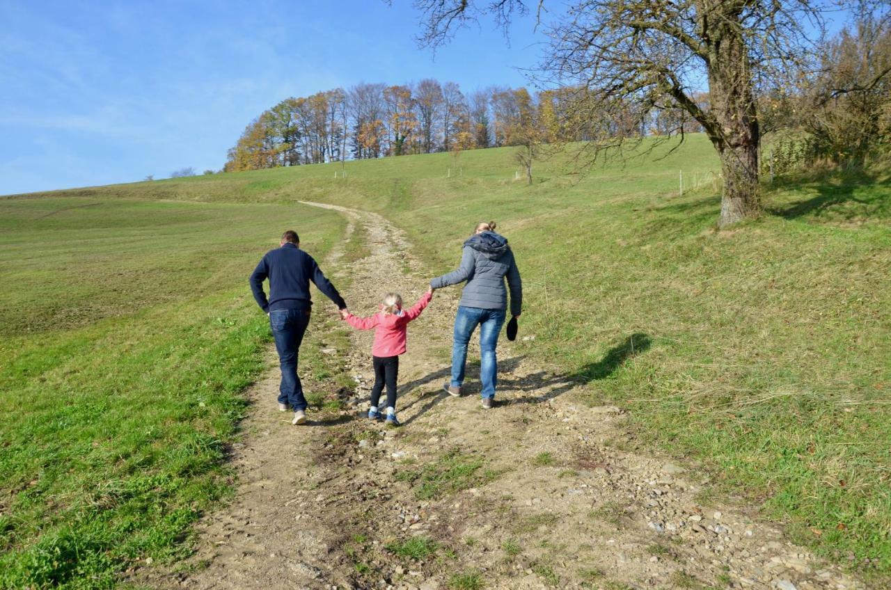 Ferienwohnung Vonwald Michelbach Dış mekan fotoğraf